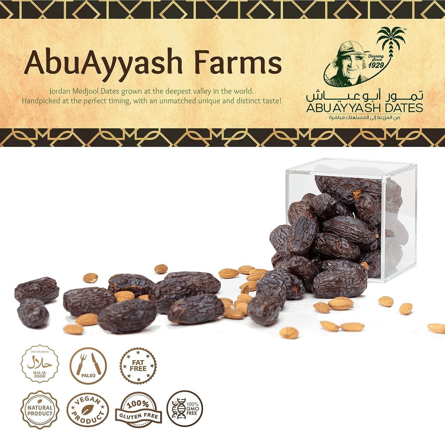Abu Ayyash Farms - Large Premium Medjool Dates