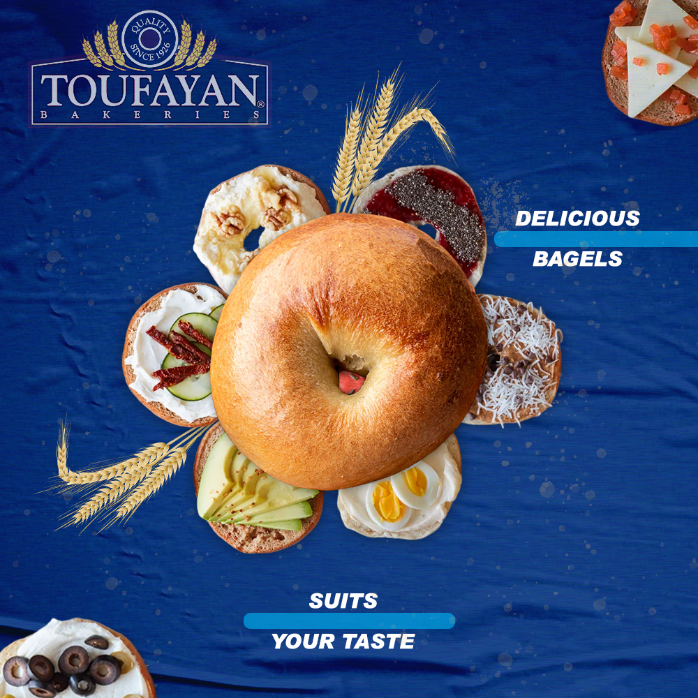 Toufayan Bagels PLAIN WHITE Case: (12x20ozx6 bgls)
